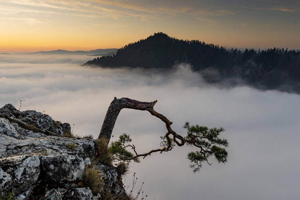 przewodnik beskidzki wycieczki z przewodnikiem (5)